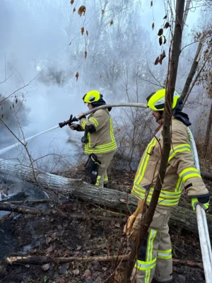 Foto des Albums: B1: Brand im Unterholz Lobstädt