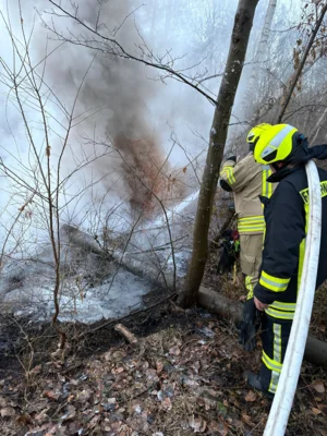 Foto des Albums: B1: Brand im Unterholz Lobstädt
