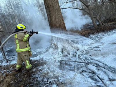 Foto des Albums: B1: Brand im Unterholz Lobstädt