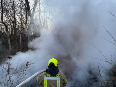 Foto des Albums: B1: Brand im Unterholz Lobstädt