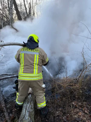 Foto des Albums: B1: Brand im Unterholz Lobstädt