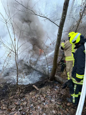 Foto des Albums: B1: Brand im Unterholz Lobstädt