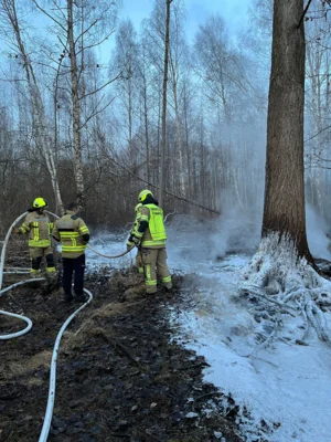 Foto des Albums: B1: Brand im Unterholz Lobstädt