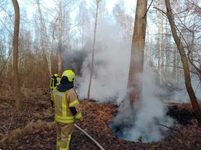 Foto des Albums: B1: Brand im Unterholz Lobstädt