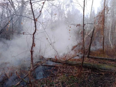 Foto des Albums: B1: Brand im Unterholz Lobstädt