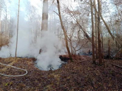 Foto des Albums: B1: Brand im Unterholz Lobstädt