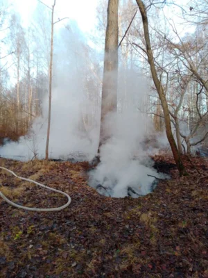 Foto des Albums: B1: Brand im Unterholz Lobstädt