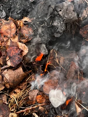 Foto des Albums: B1: Brand im Unterholz Lobstädt