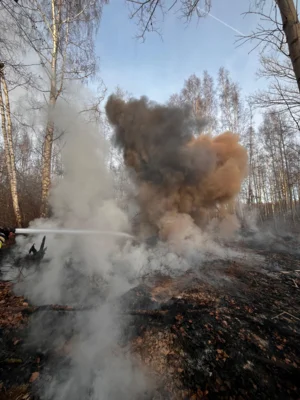 Foto des Albums: B1: Brand im Unterholz Lobstädt