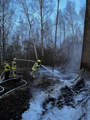Foto des Albums: B1: Brand im Unterholz Lobstädt