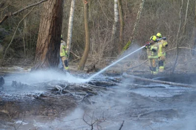 Foto des Albums: B1: Brand im Unterholz Lobstädt