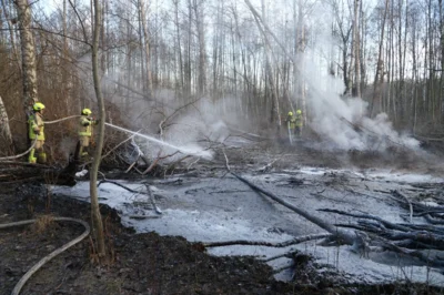 Foto des Albums: B1: Brand im Unterholz Lobstädt