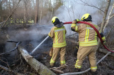 Foto des Albums: B1: Brand im Unterholz Lobstädt