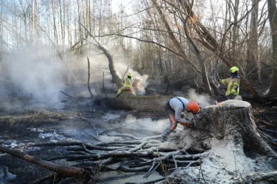 Foto des Albums: B1: Brand im Unterholz Lobstädt