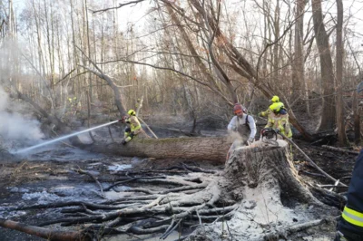 Foto des Albums: B1: Brand im Unterholz Lobstädt