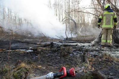 Foto des Albums: B1: Brand im Unterholz Lobstädt