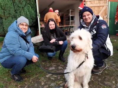 Foto des Albums: Tierbescherung und Weihnachtsmarkt 2025