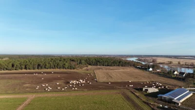 8 dji fly 20251216  Pflanzung-Warnke-Gr&uuml;nland-Rinder 1  (Bild vergr&ouml;&szlig;ern)