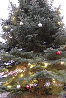 Foto des Albums: Weihnachtsmarkt 2025