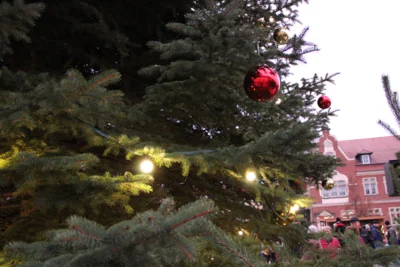 Foto des Albums: Weihnachtsmarkt 2025