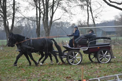 Foto des Albums: Prüfung 13.12.2025