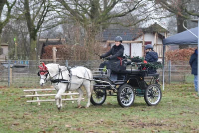Foto des Albums: Prüfung 13.12.2025