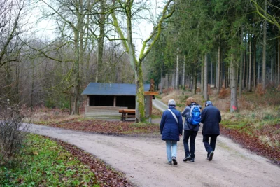 Am Stern  (Bild vergr&ouml;&szlig;ern)