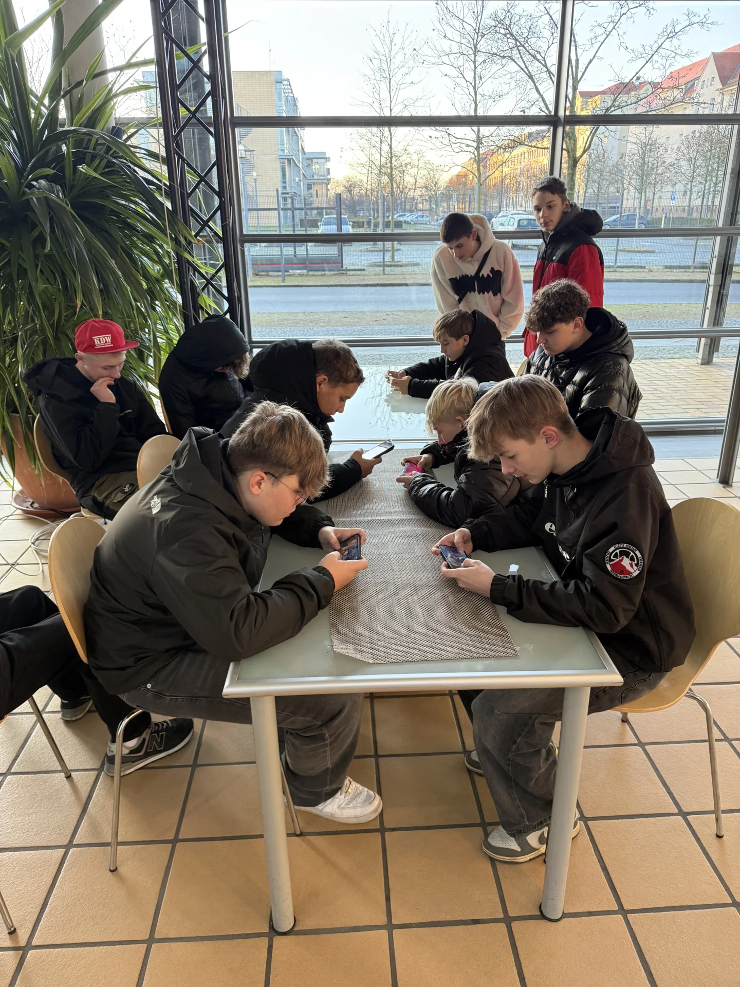 Bild der Galerie