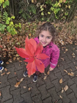 Foto des Albums: Herbstspaziergang