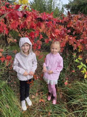 Foto des Albums: Herbstspaziergang