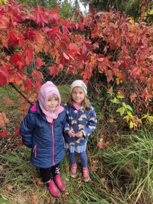 Foto des Albums: Herbstspaziergang