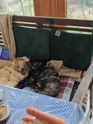Foto des Albums: Ronja hat ein Zuhause