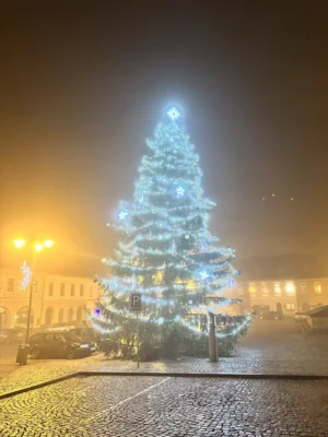 Foto des Albums: Rübezahl-Pokal 2025