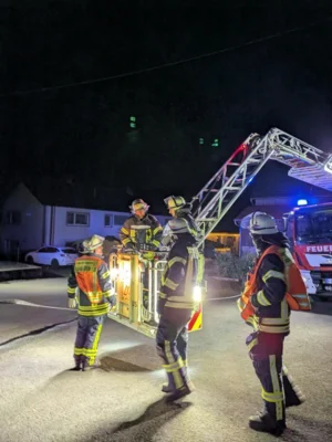 Foto des Albums: Kaminbrand Kaulstoß