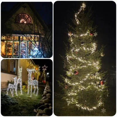 Foto des Albums: Lebendiger Adventskalender 2025 Zempow