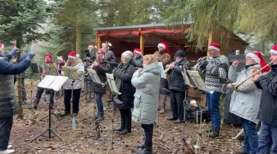 Flessenow Weihnachtsbaum schlagen 1  (Bild vergr&ouml;&szlig;ern)
