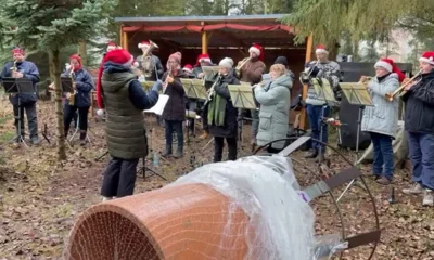 Flessenow Weihnachtsbaum schlagen 3  (Bild vergr&ouml;&szlig;ern)