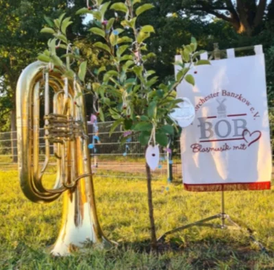 Apfelbaum-Challenge 7  (Bild vergr&ouml;&szlig;ern)