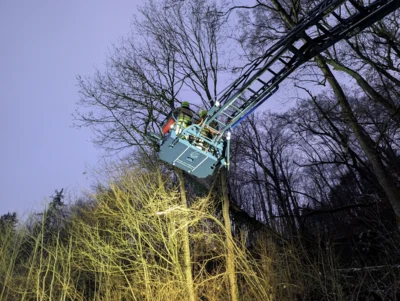 Foto des Albums: Einsatz ERK - Baum auf Straße Lontal