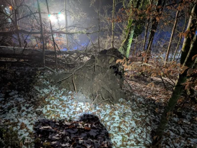 Foto des Albums: Einsatz ERK - Baum auf Straße Lontal