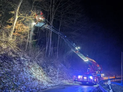 Foto des Albums: Einsatz ERK - Baum auf Straße Lontal