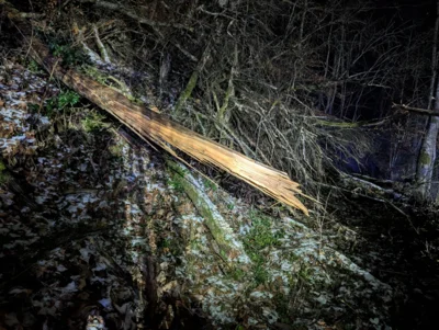 Foto des Albums: Einsatz ERK - Baum auf Straße Lontal