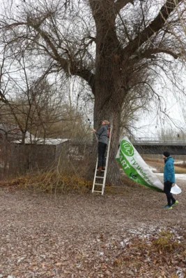 Foto des Albums: Silvesterlauf 2025