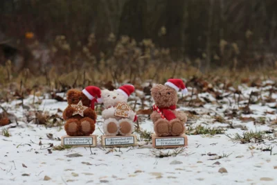 Foto des Albums: Silvesterlauf 2025
