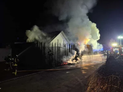 Foto des Albums: Brennende Hecke - Schemmerhofen- Fliederweg
