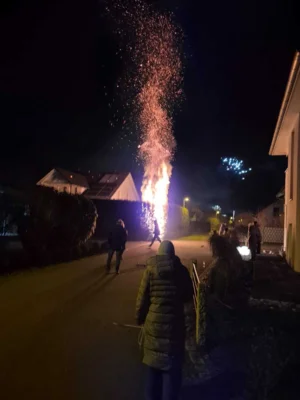 Foto des Albums: Brennende Hecke - Schemmerhofen- Fliederweg