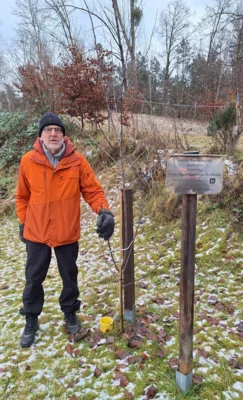 Baumschnitt erforderlich! 