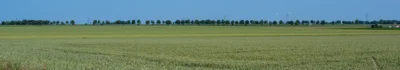 DSC 4566  (Bild vergr&ouml;&szlig;ern)