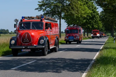 DSC 4587  (Bild vergr&ouml;&szlig;ern)