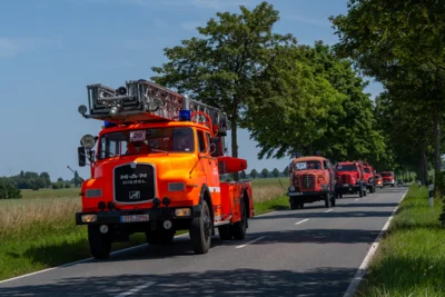 DSC 4593  (Bild vergr&ouml;&szlig;ern)